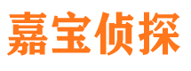 民丰市私人侦探